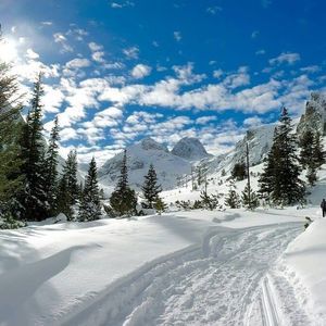 Meet your Posher, Marsha